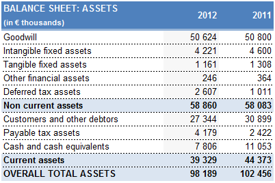 balance sheet, assets balance sheet, assets 2012, Rentabiliweb Group